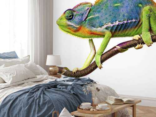 Kameleon