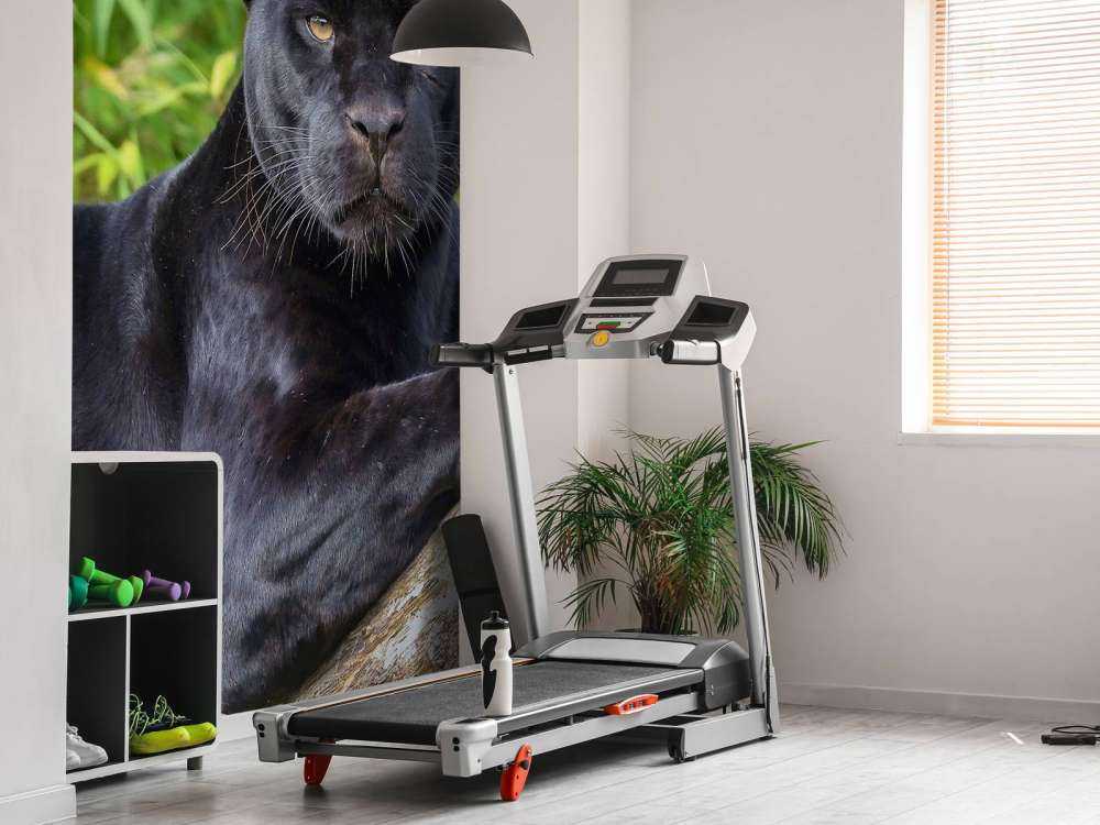 Svart panter på et tre