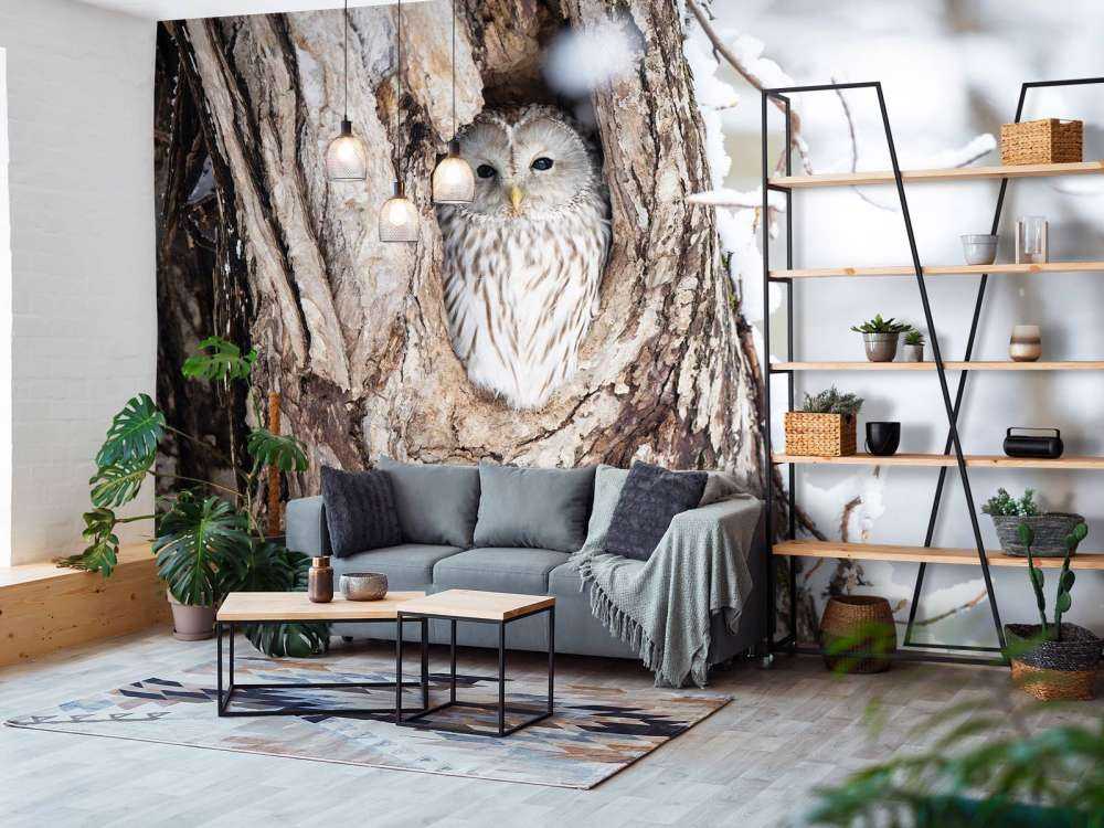 Hvit ugle i et hult tre