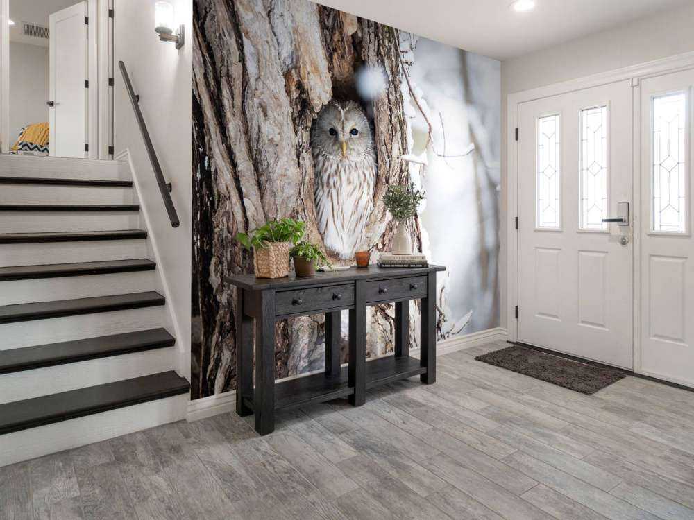 Hvit ugle i et hult tre