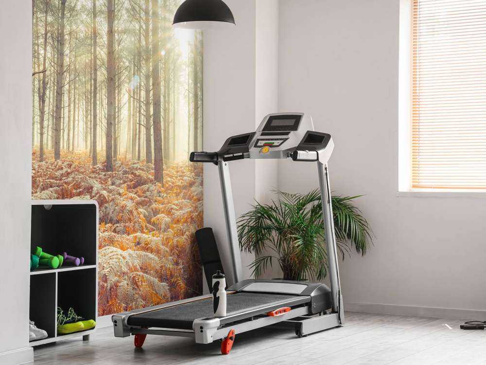 Solstrålar genom de kalla träden