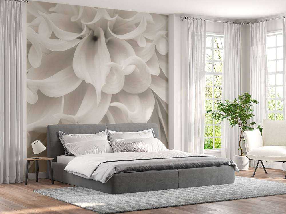 Närbild av dahliablomma