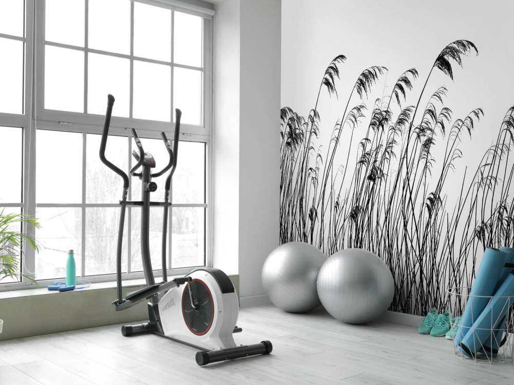 Rörflen längs vattnet i svartvitt