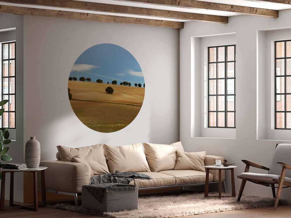 Träd i spanskt landskap