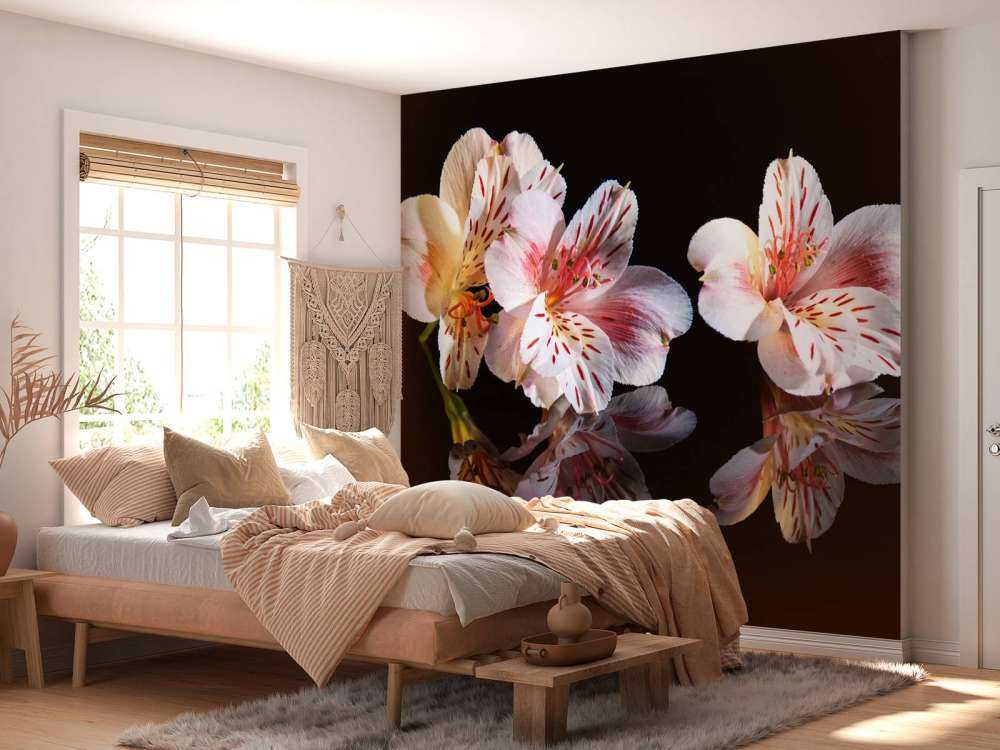 Alstroemeria blommar med reflektion