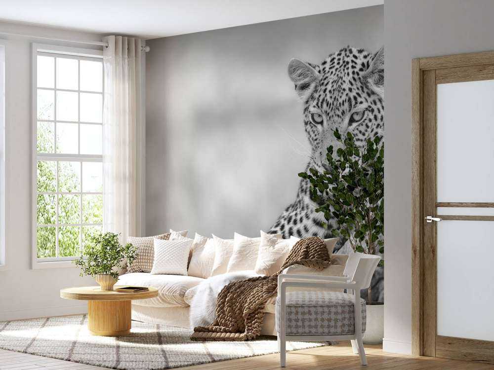 Leopard svart, vit