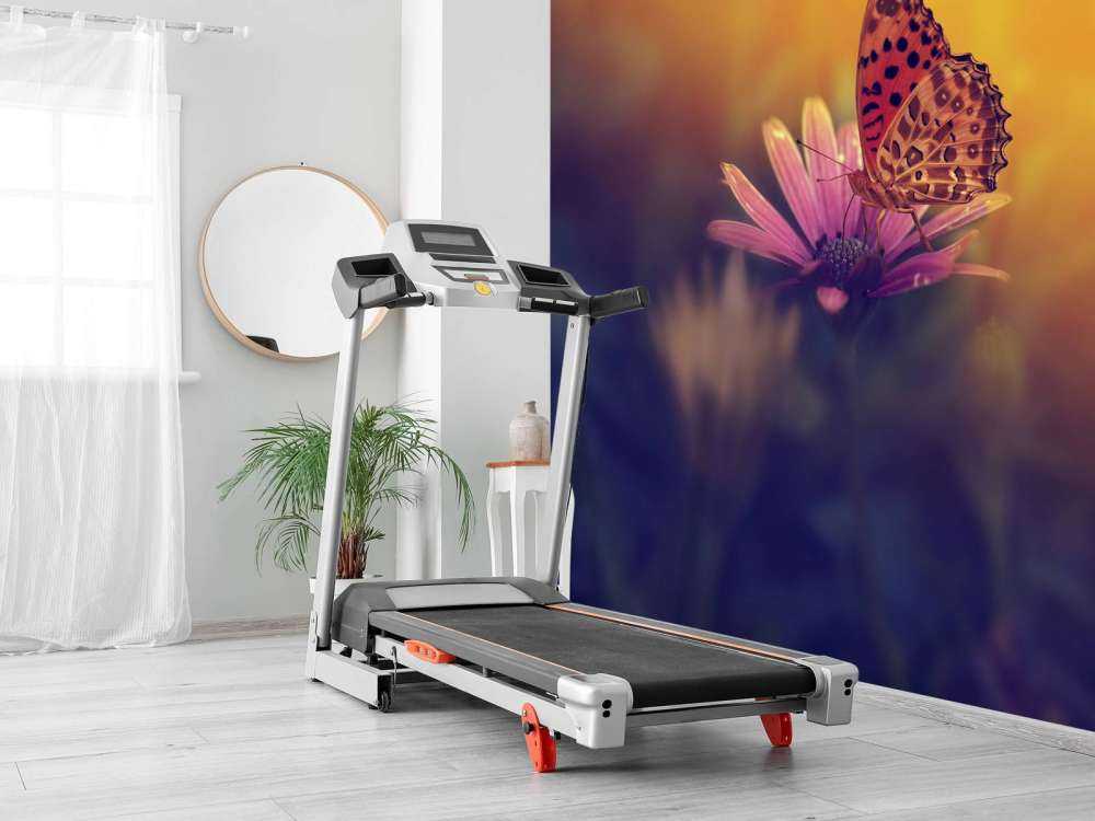 Röd fjäril på blomman