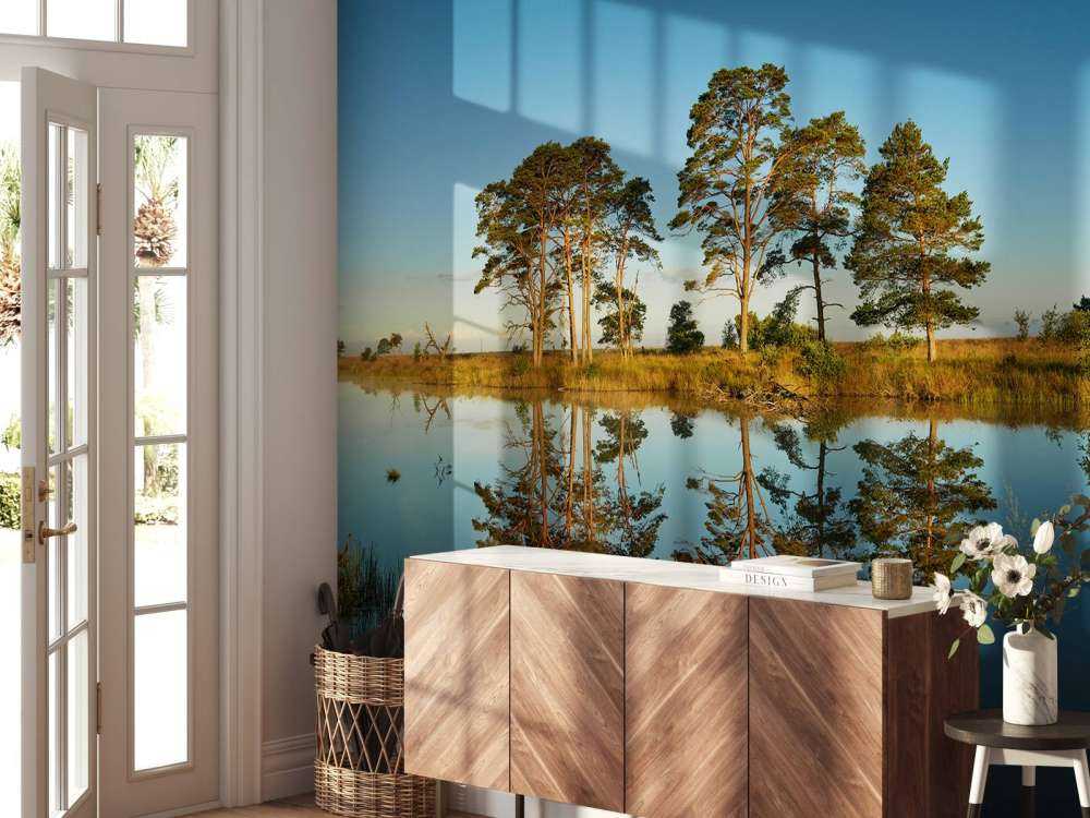 Reflexipå i skogsjön