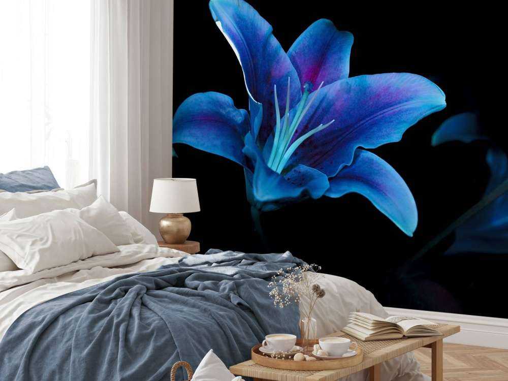 Ultravioletta blommor