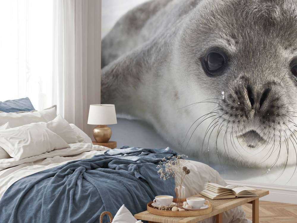 Närbild av en tätning