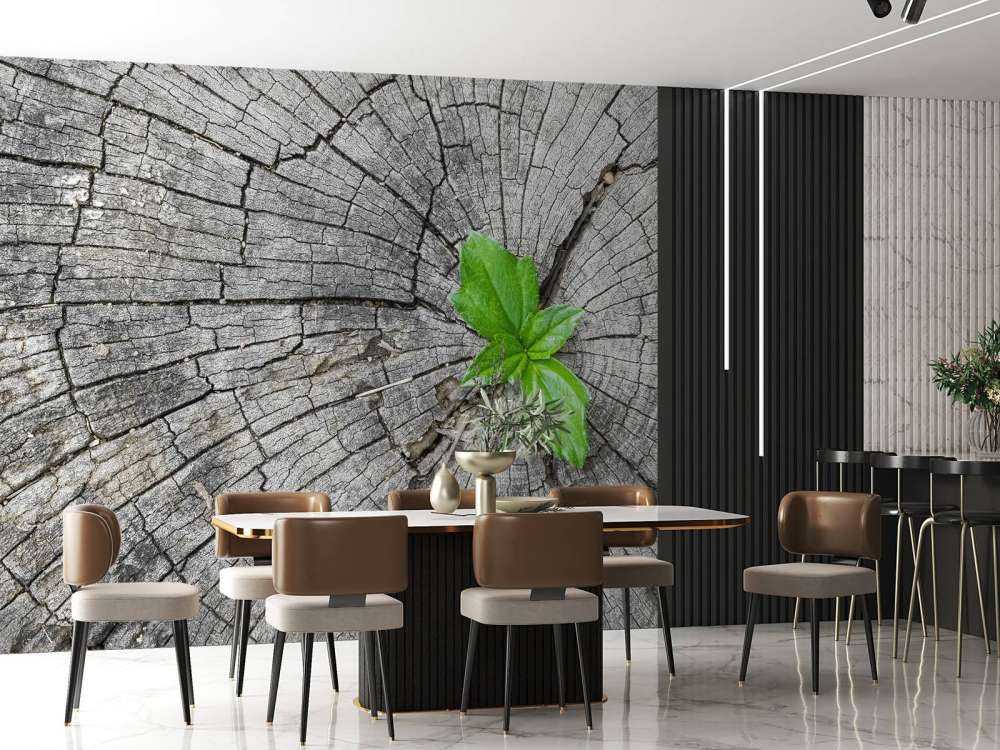 Diameter på en trädstam