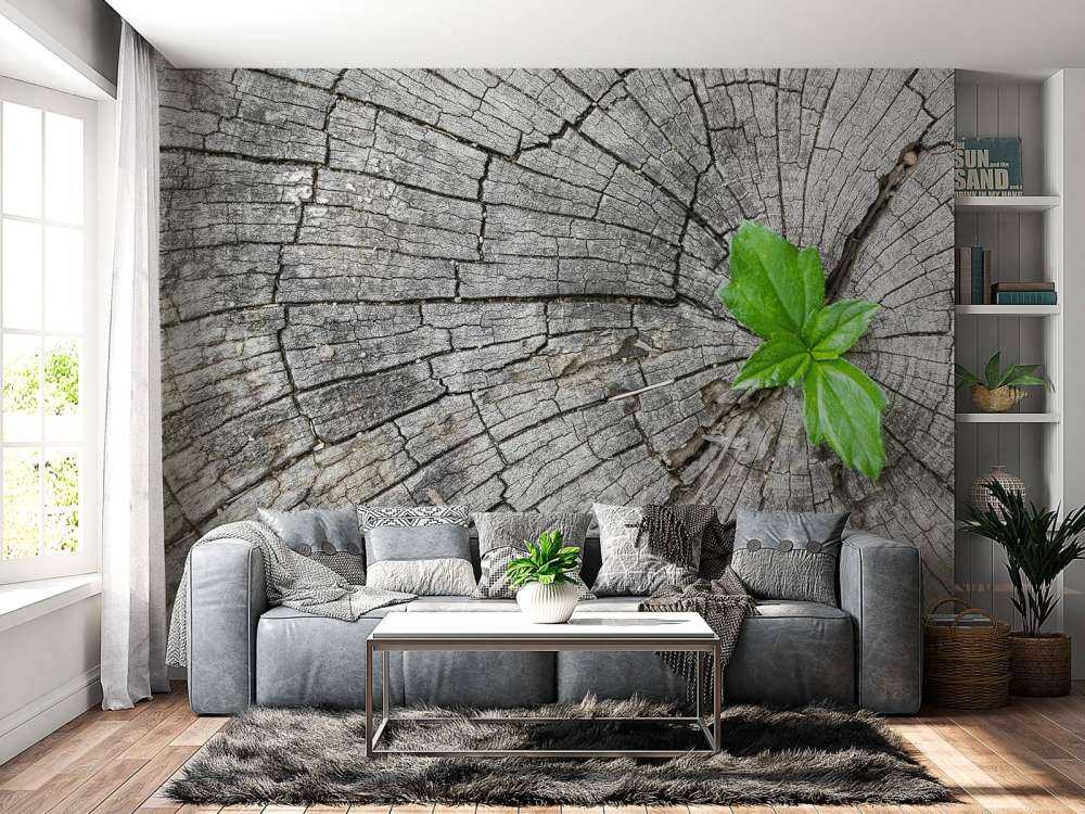 Diameter på en trädstam