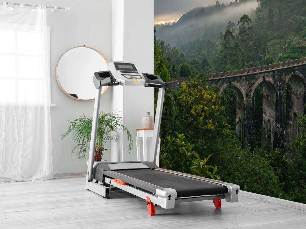 Järnvägsbro genom djungeln