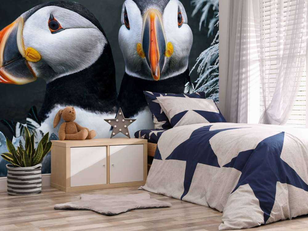 Atlantic Puffins