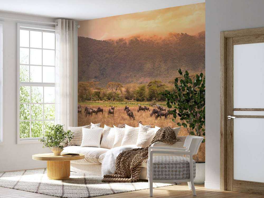 Savannelandskab med zebraer