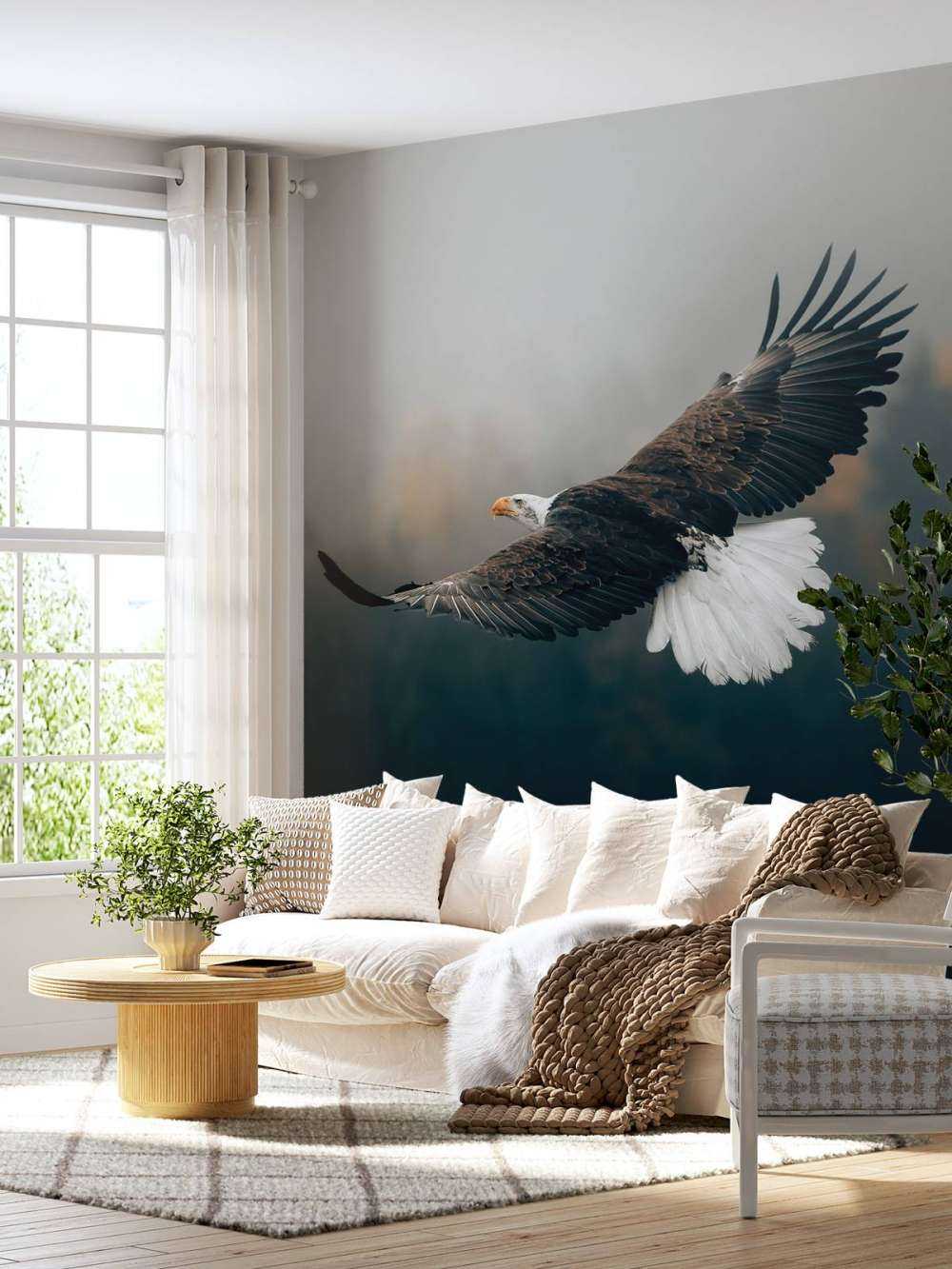 Bald eagle over skoven