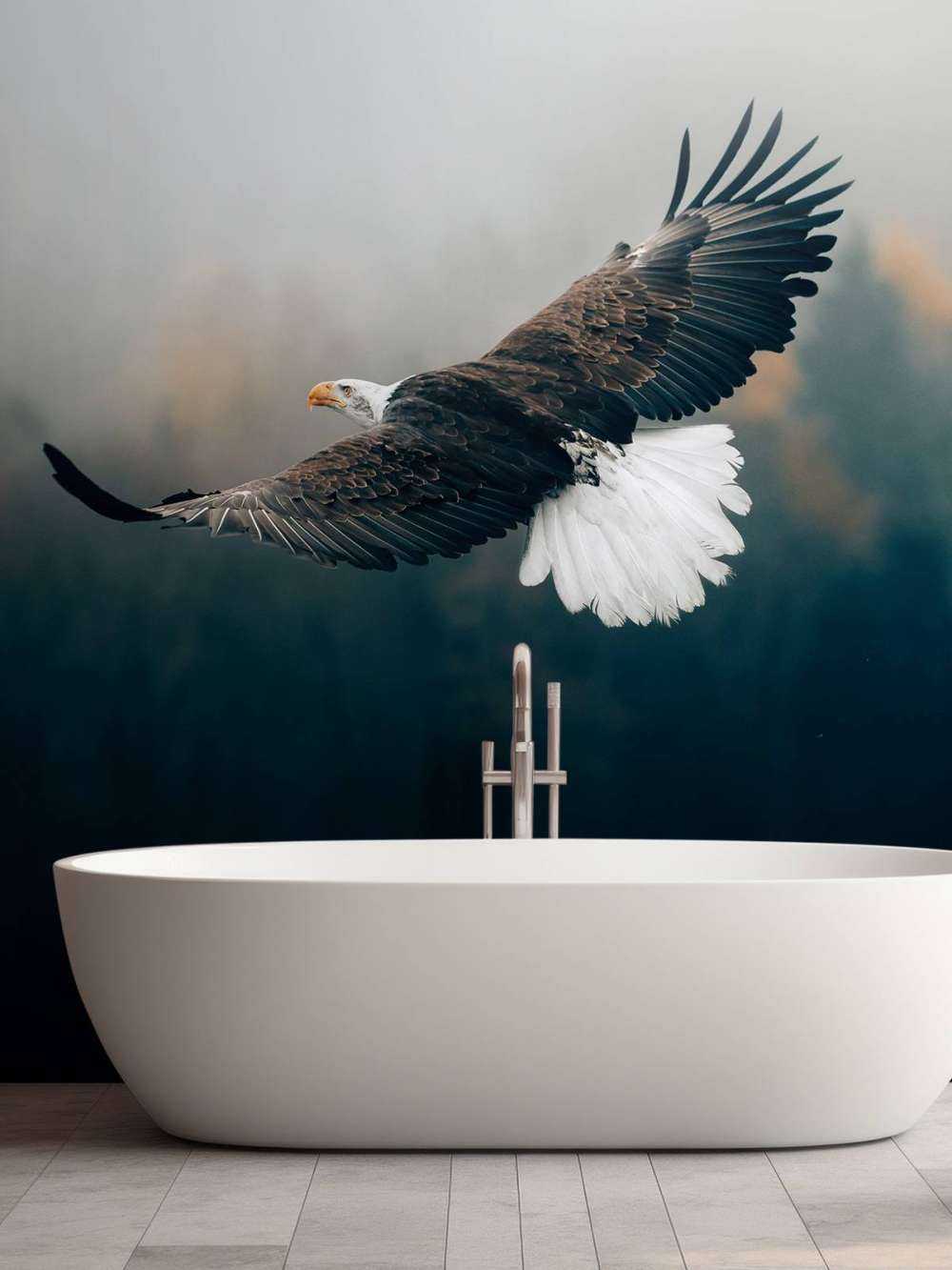 Bald eagle over skoven