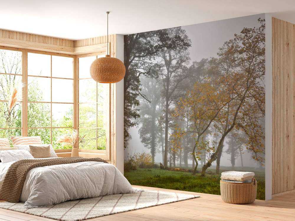 Græsmark med træer og tåge