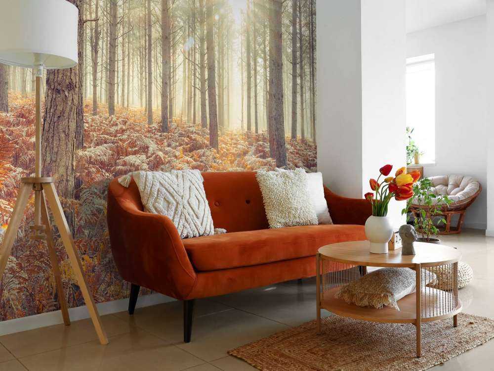 Solstråler gennem de kolde træer