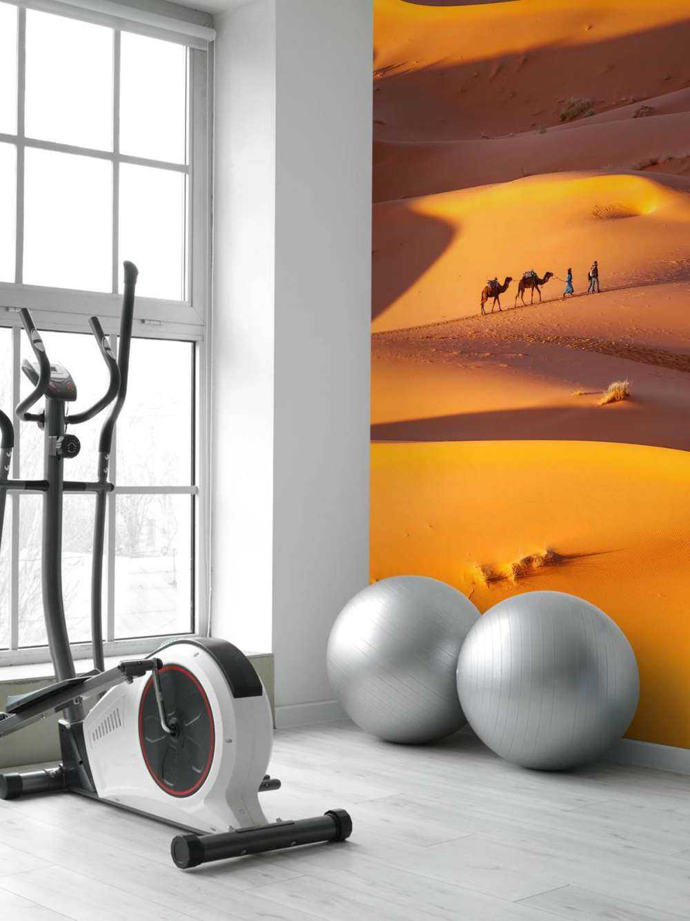 Ørkenen set fra oven