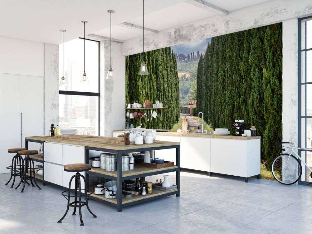 Avenue med cypresser