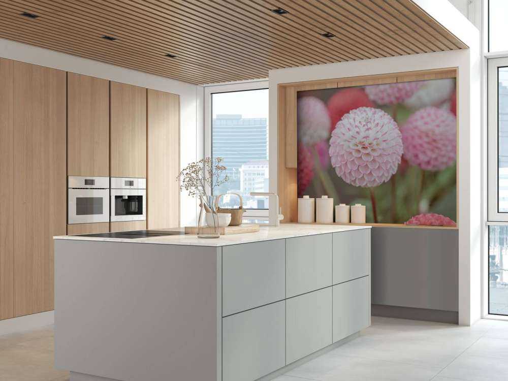 Pink dahlia blomster
