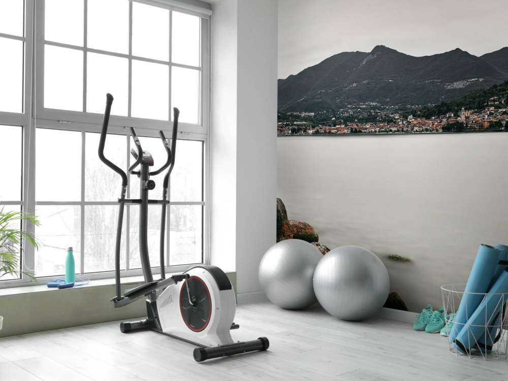 Landsby ved Gardasøen