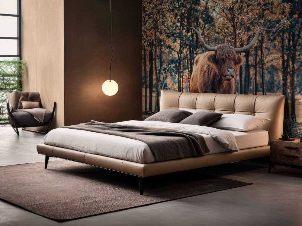 Skotsk highlander i udkanten af skoven