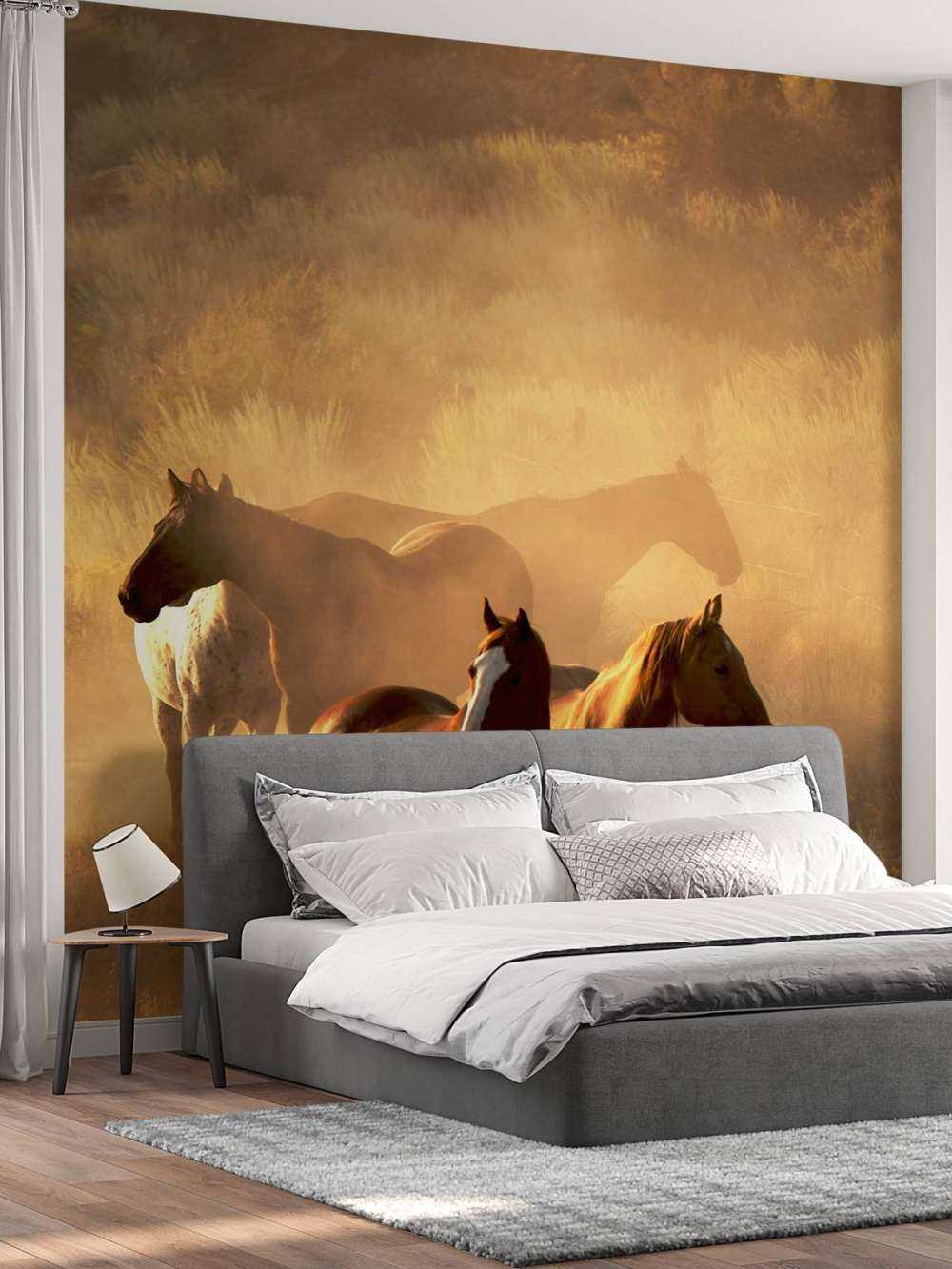 Heste under en solnedgang