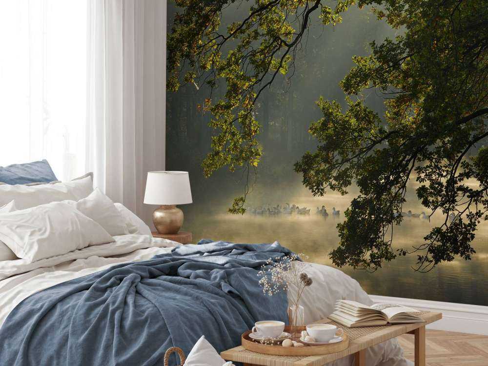 Overhængende grene over vandet