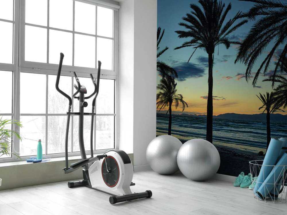 Palmer ved solnedgang