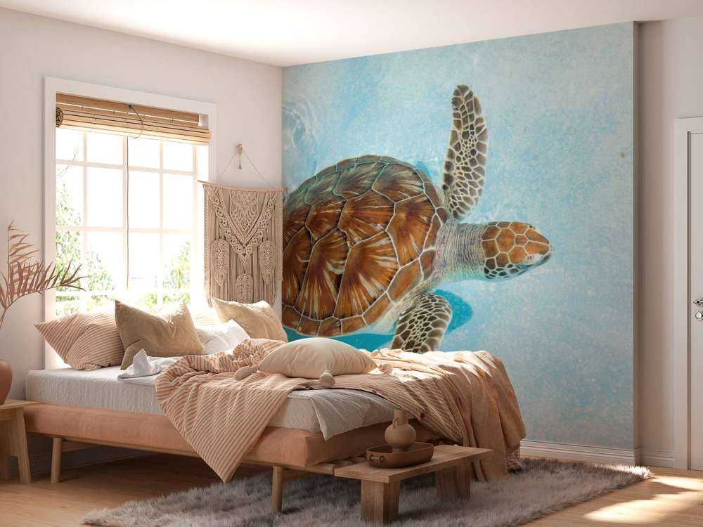 Skildpadde i vandet