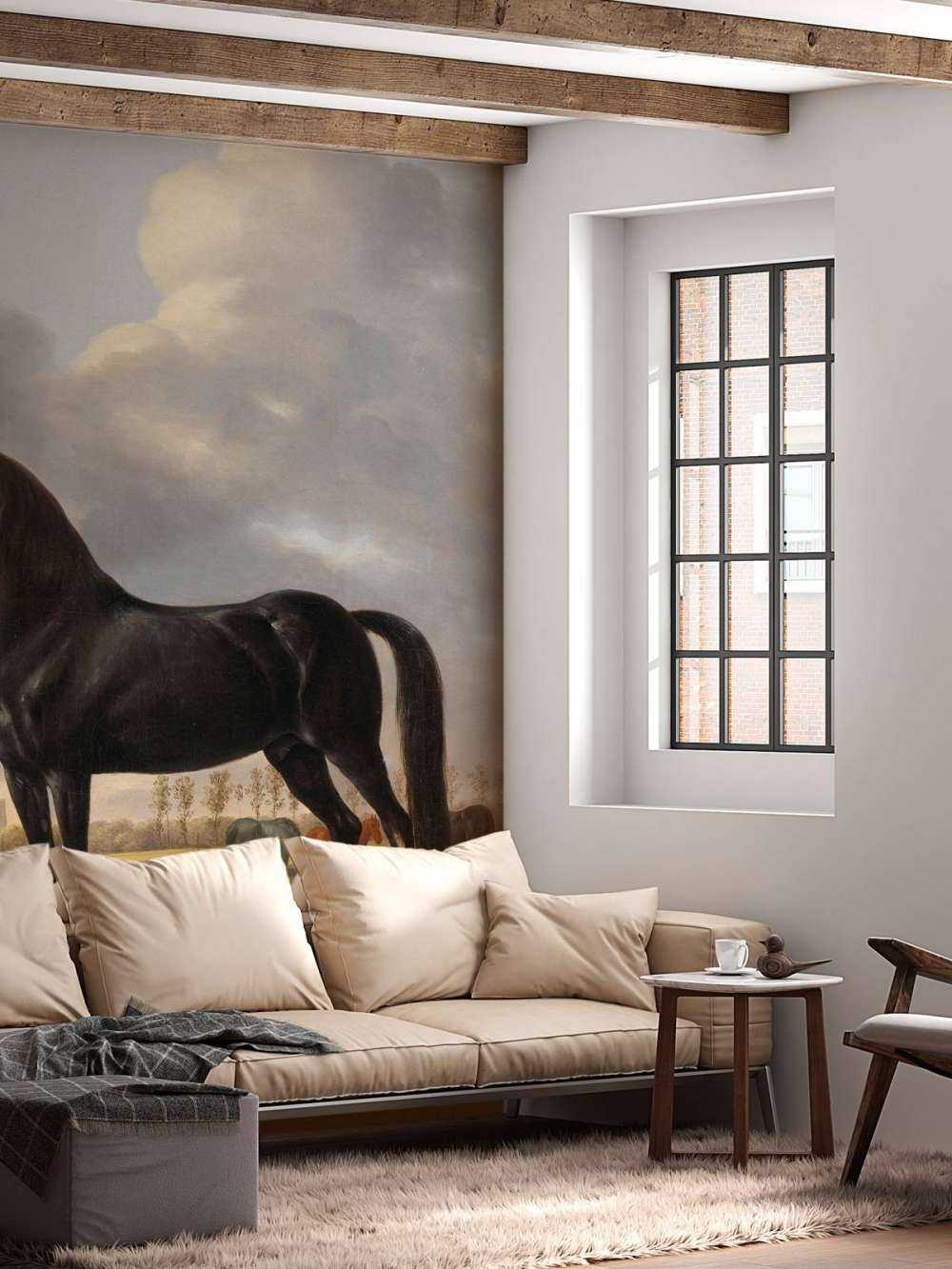 fototapet hest. Harddråer De Vlugge