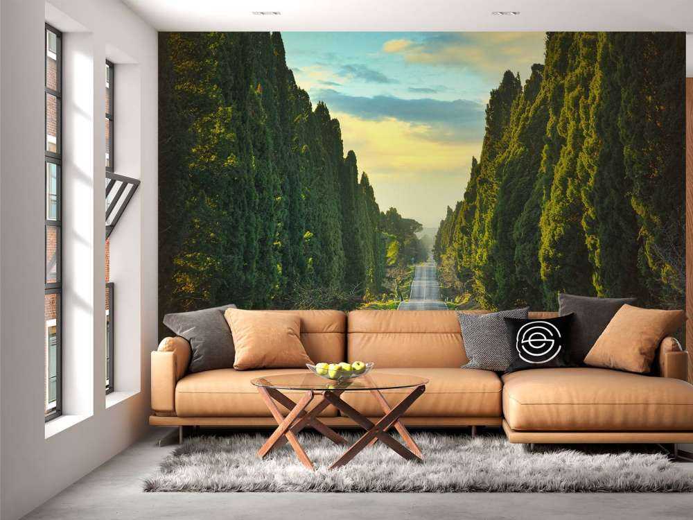 Vej med høje træer