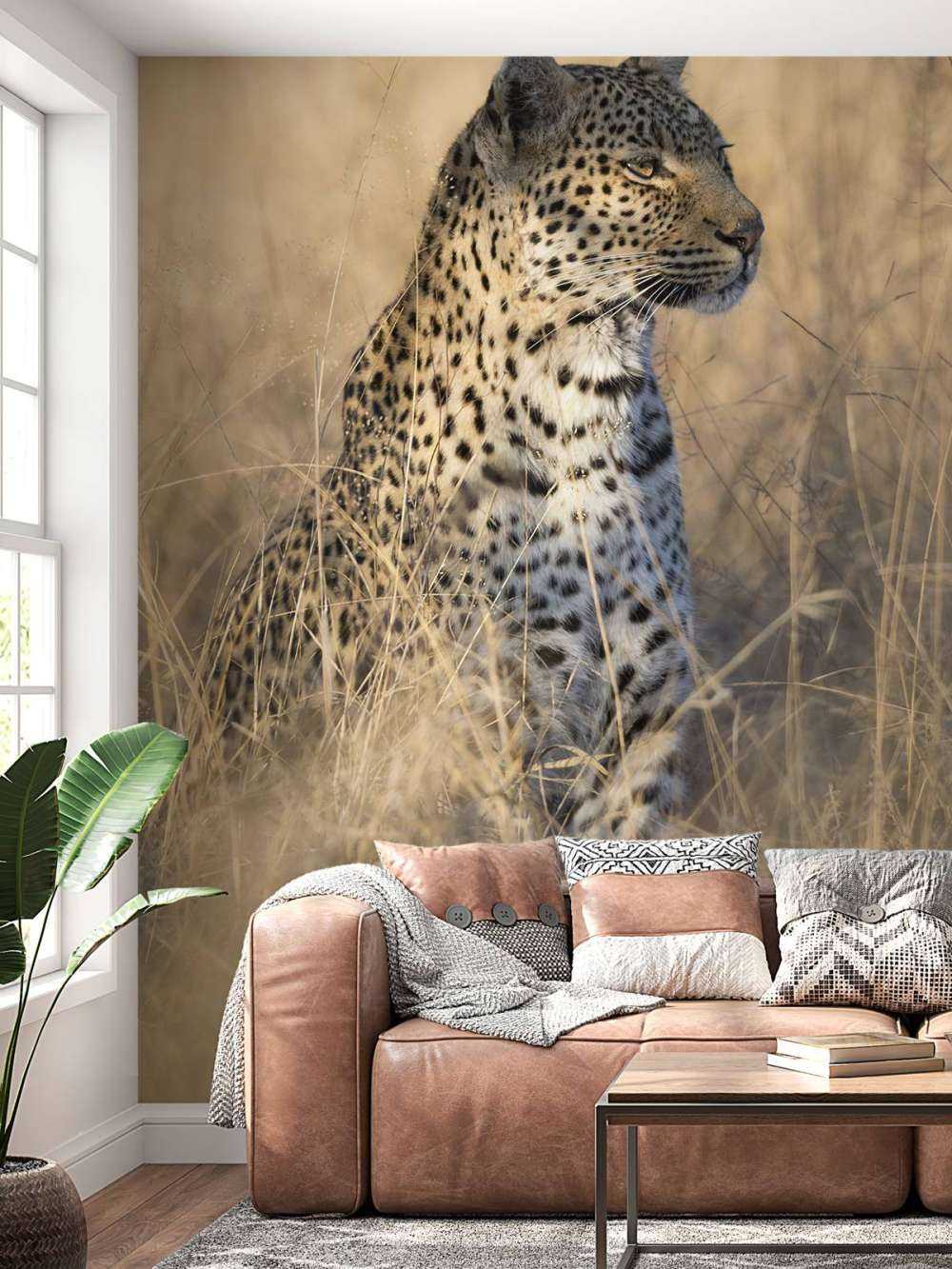 Jagt leopard