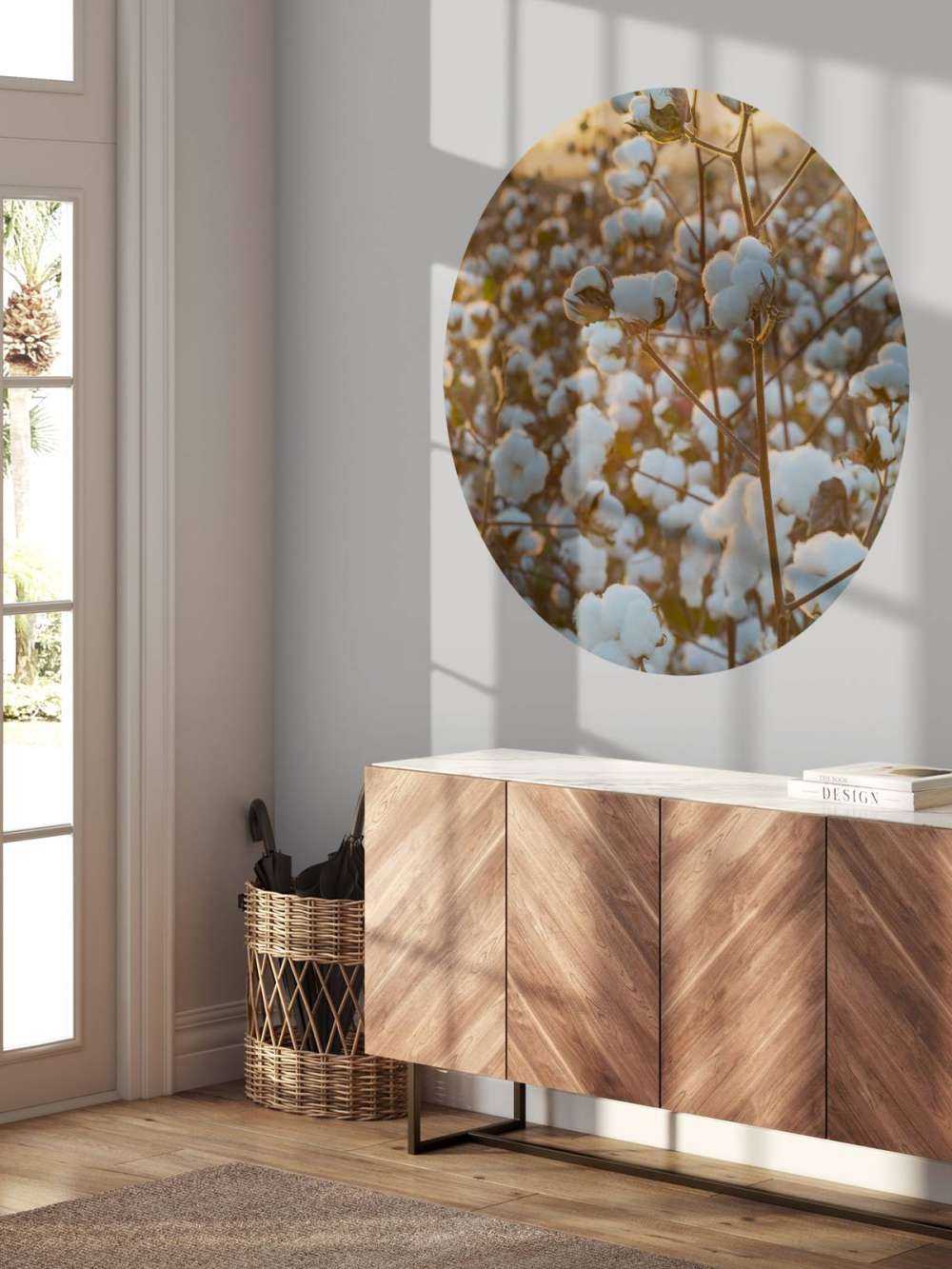 Bomuldsmark med gylden gul himmel