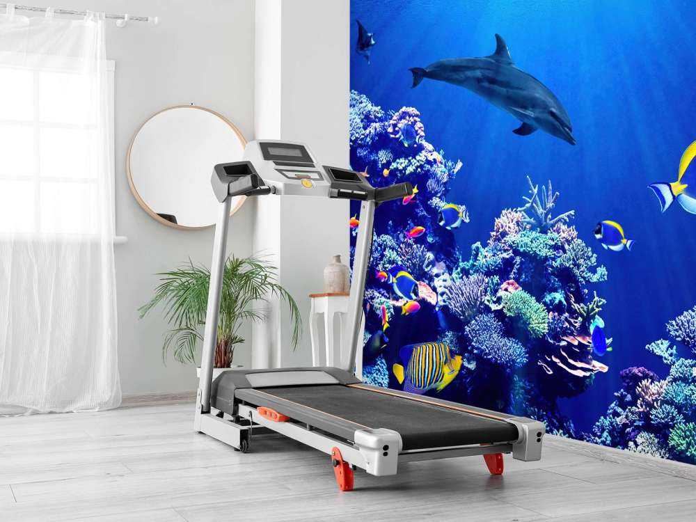 Undersøisk verden blå