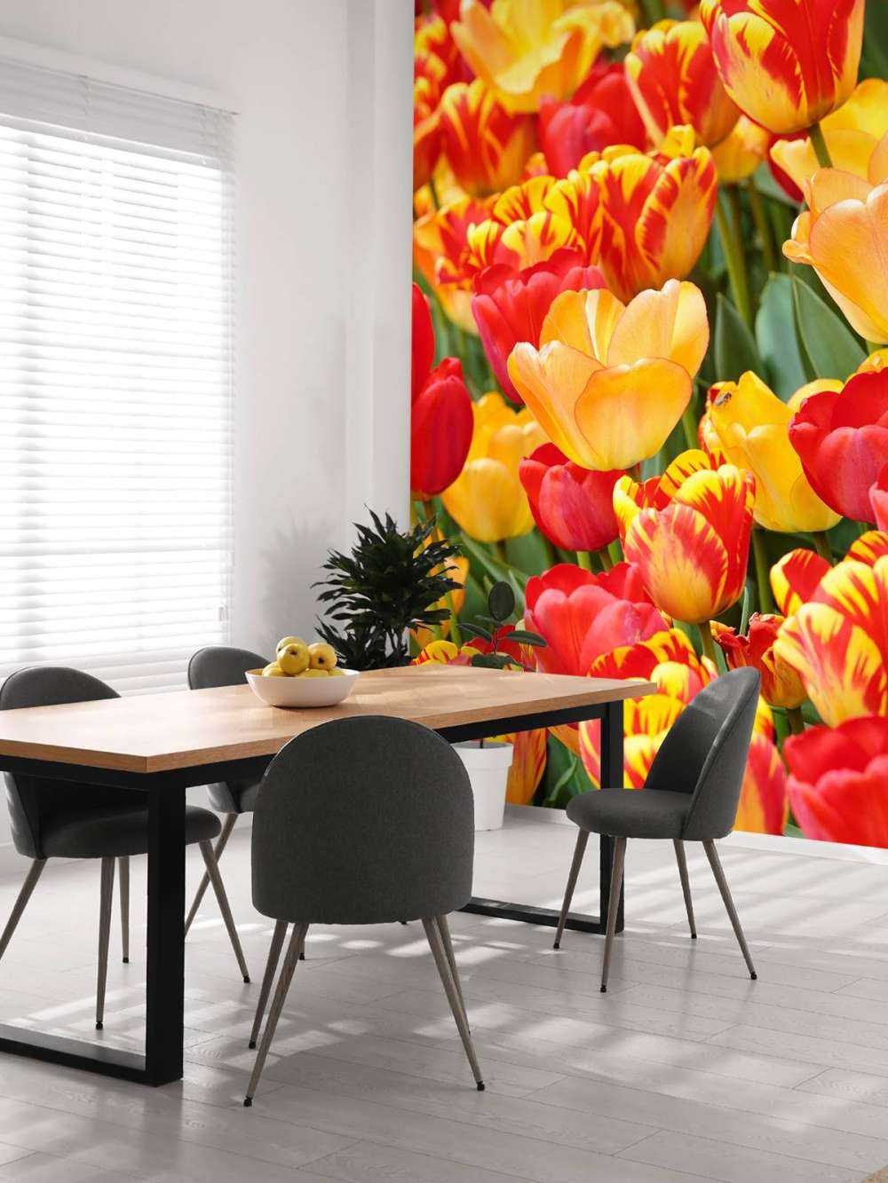 Farvede tulipaner