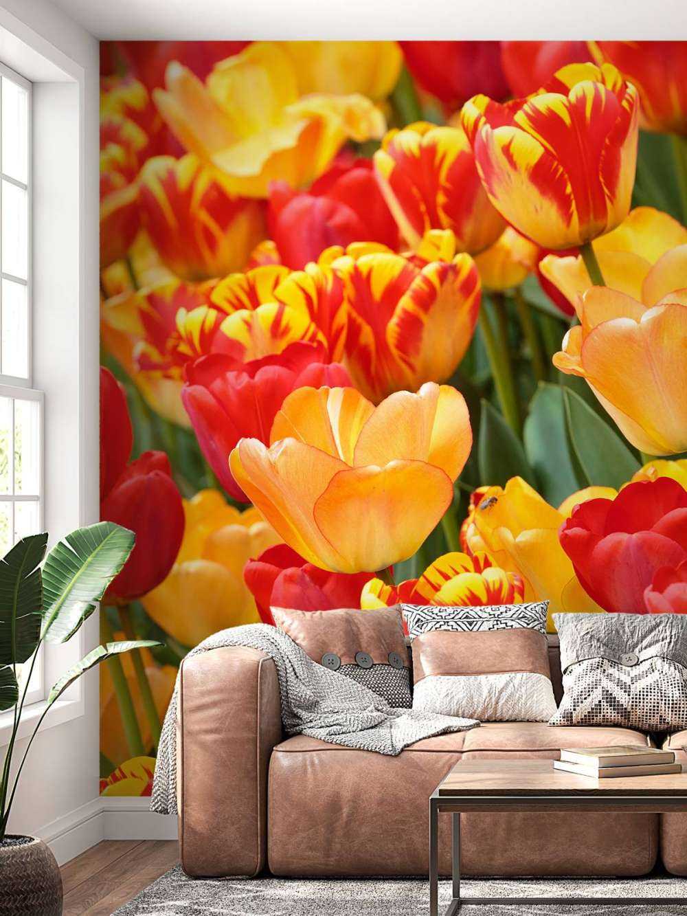 Farvede tulipaner