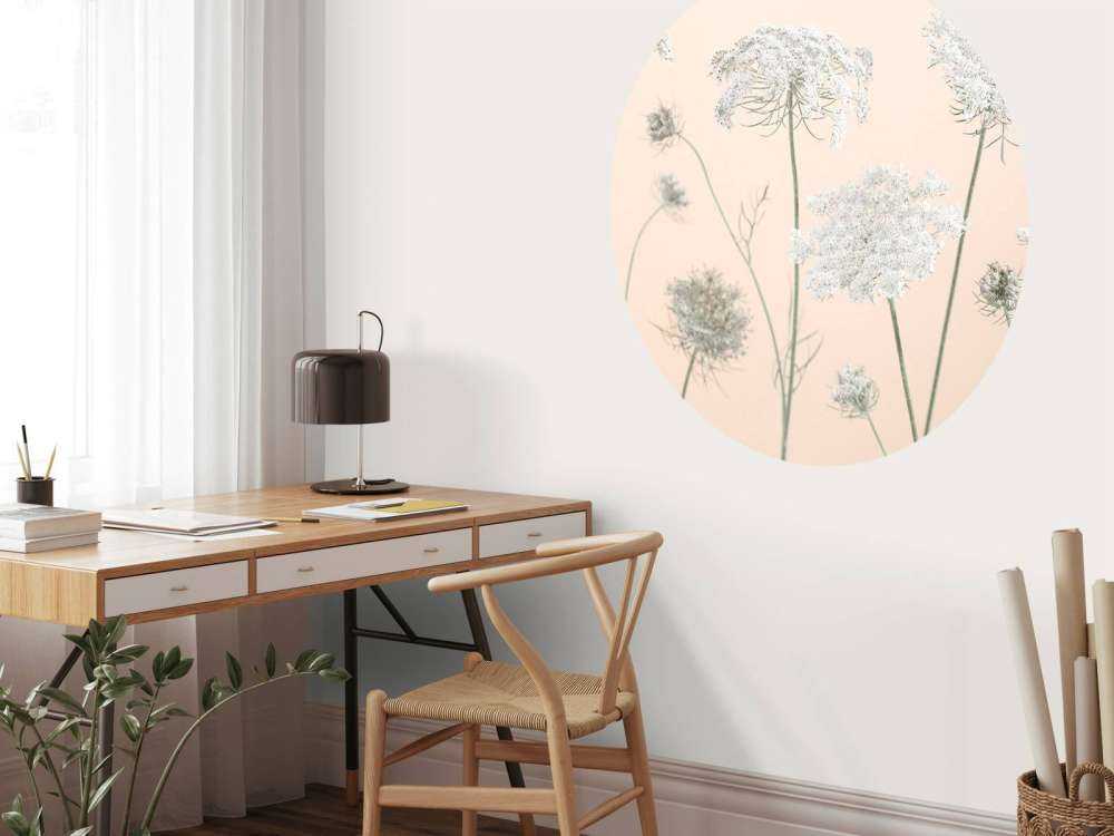 Cow parsley flowers on coloured background