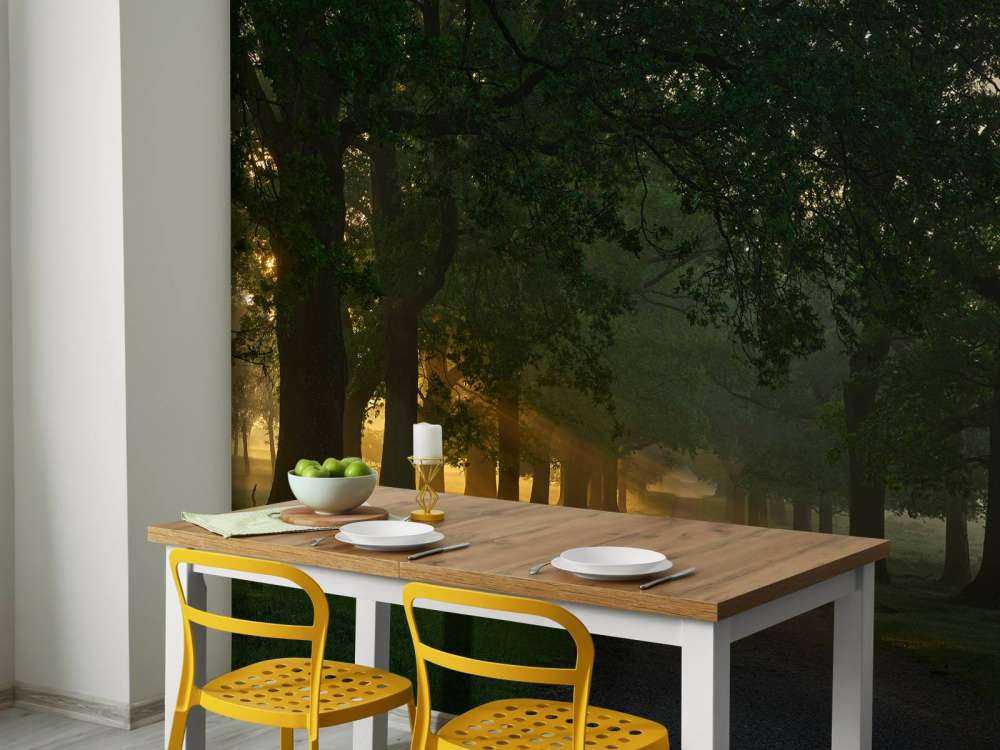 Endeløs sti med træer