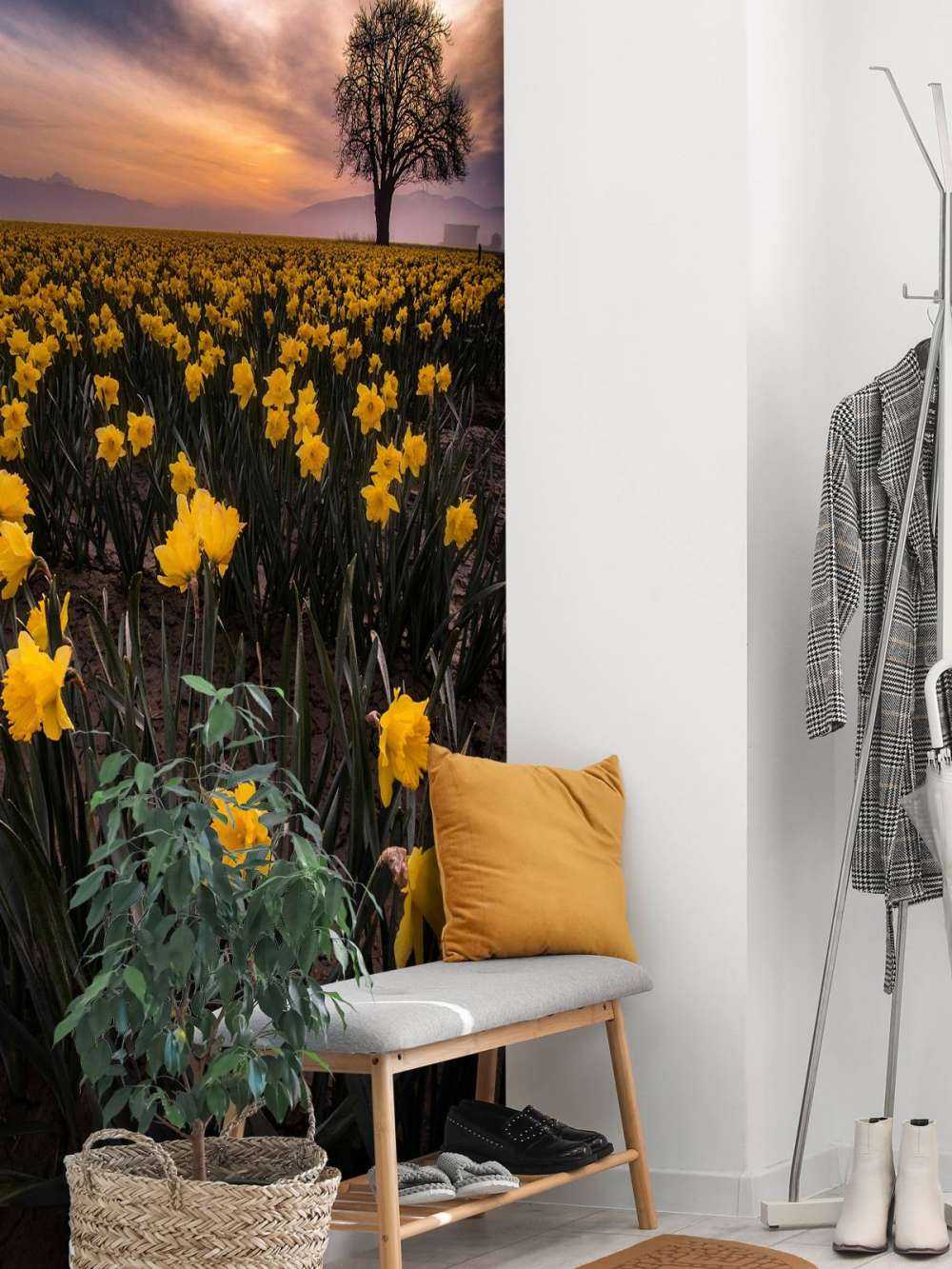 Mark med påskeliljer