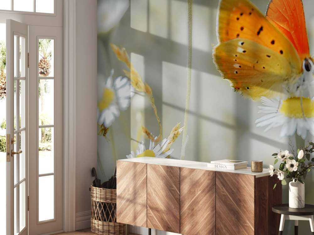 Tusindfryd og orange sommerfugl