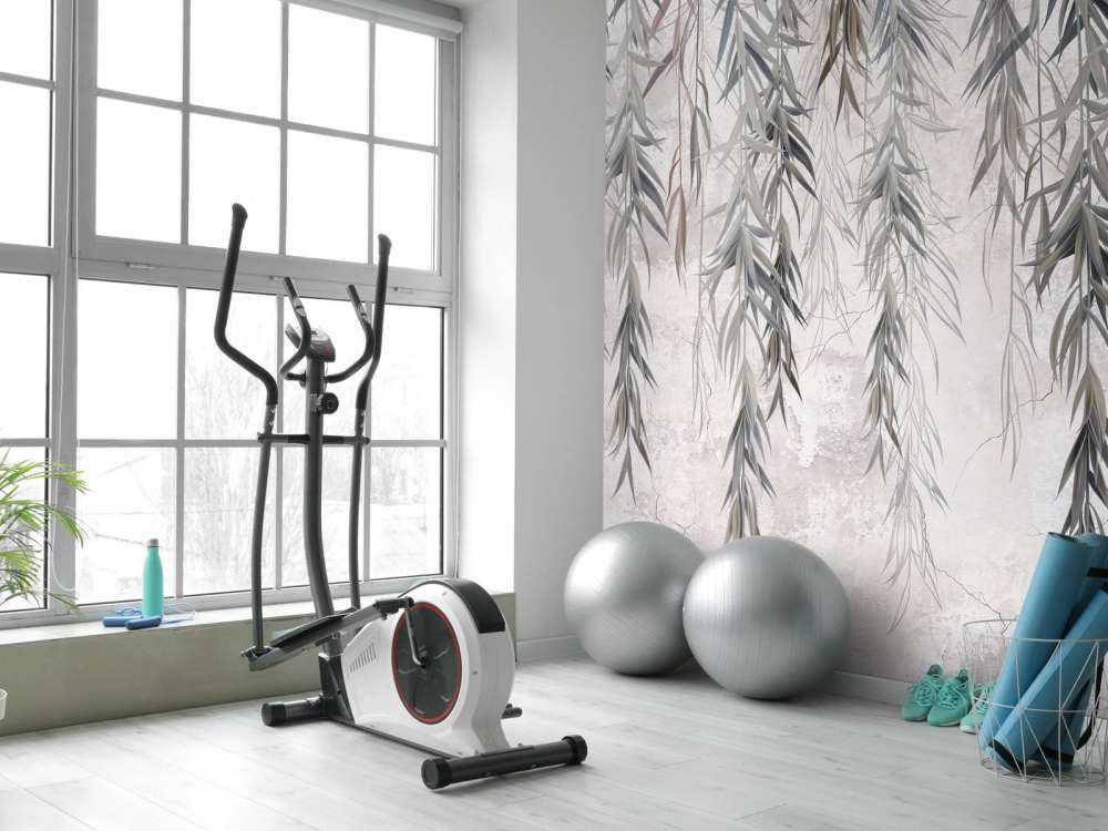 Hængende grene over beton