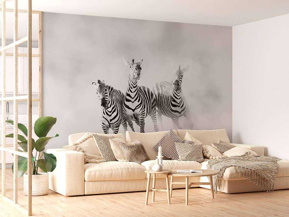 Zebraer