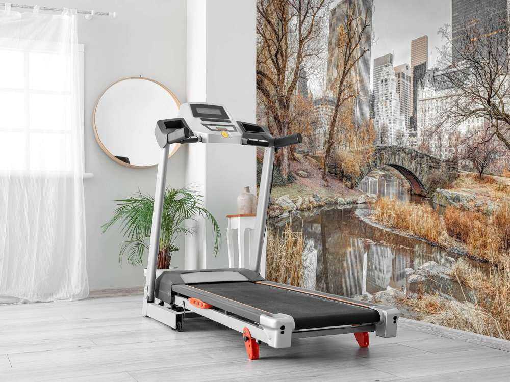 Central park om vinteren