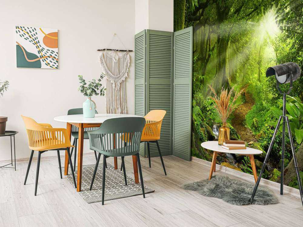 Tropisk jungle med sollys