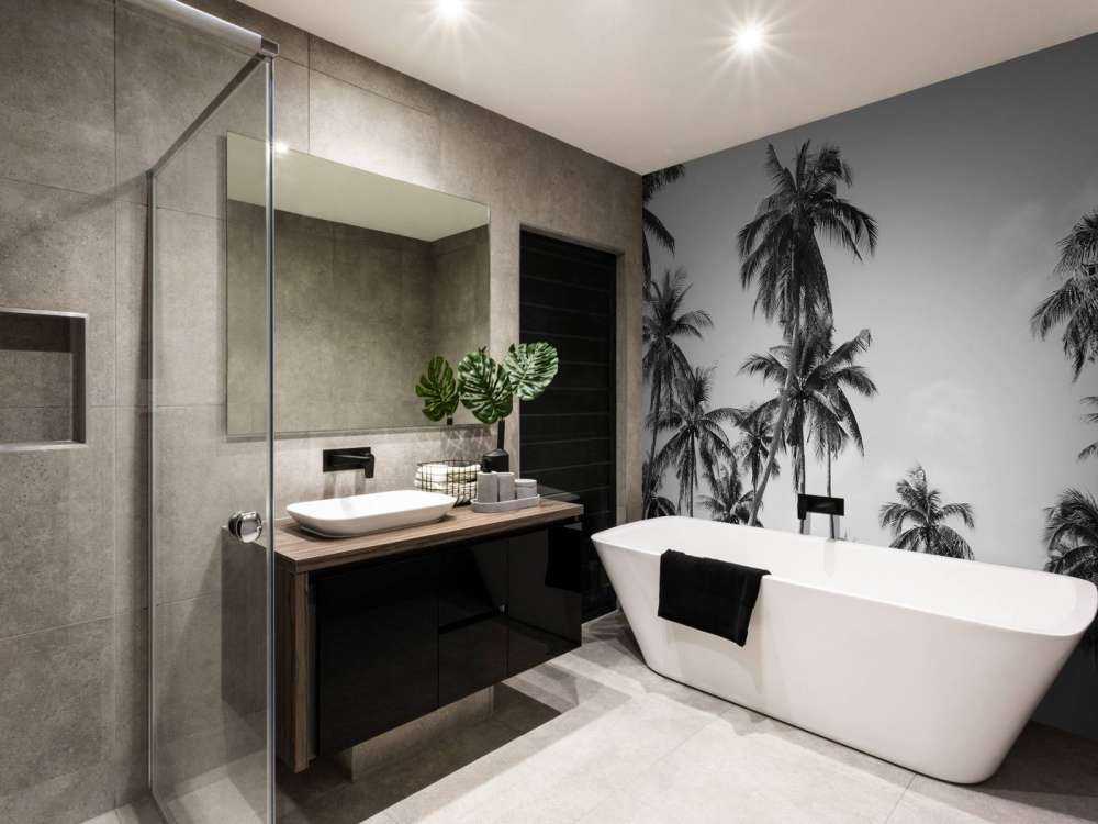 Palmer i sort og hvidt