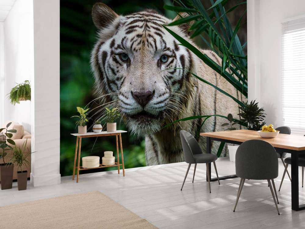 Hvid tiger