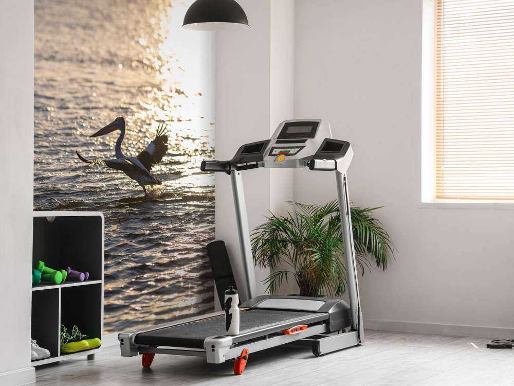 Pelikaner i skumringen